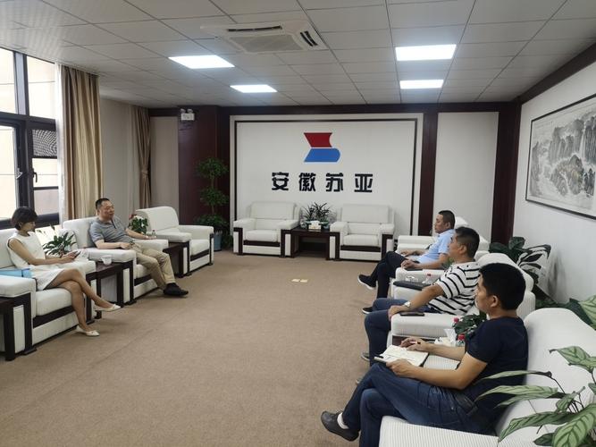 深化交流促發(fā)展 安徽省鋼結(jié)構(gòu)協(xié)會(huì)赴安徽蘇亞建設(shè)安裝調(diào)研