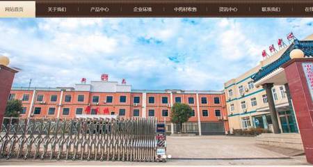 藥煥新章，智聯未來——安徽新*藥業網站創意主題設計